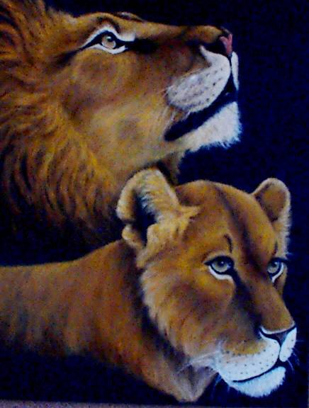 African Lion and lioness